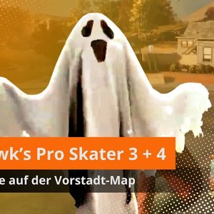 Tony Hawk's Pro Skater 3 + 4: Vorstadt Alle Ziele