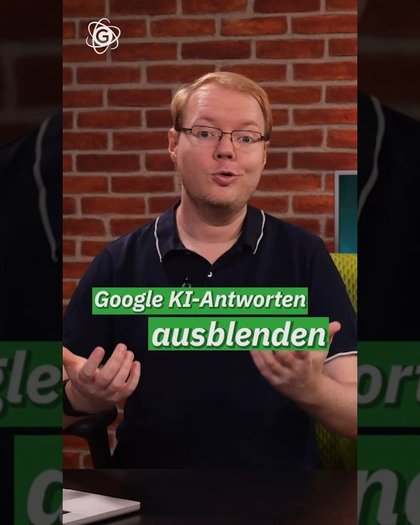 Google ohne KI-Antworten!